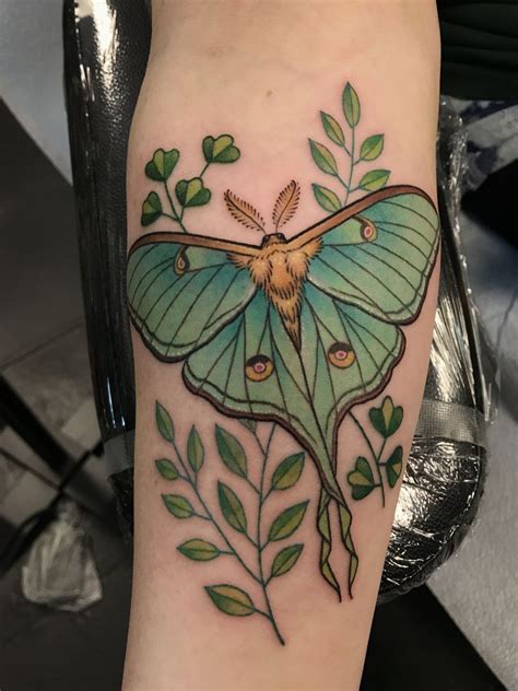 detailed moth tattoo|30 Moth Tattoo Ideas That Symbolize Transformation and Mystery